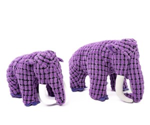 Untitled design - 2025-08-20T101202.0716